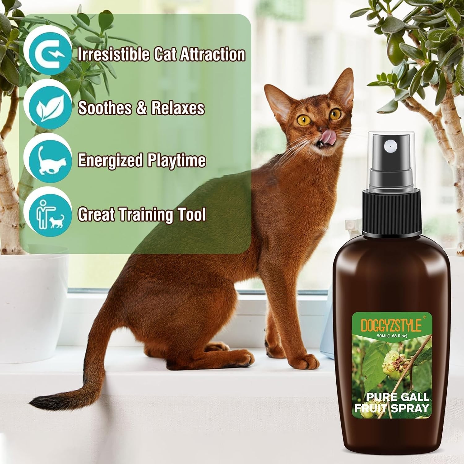spray erba gatta Attraente per gatti per tiraGraffi di Gatto per l'allenamento foto 2