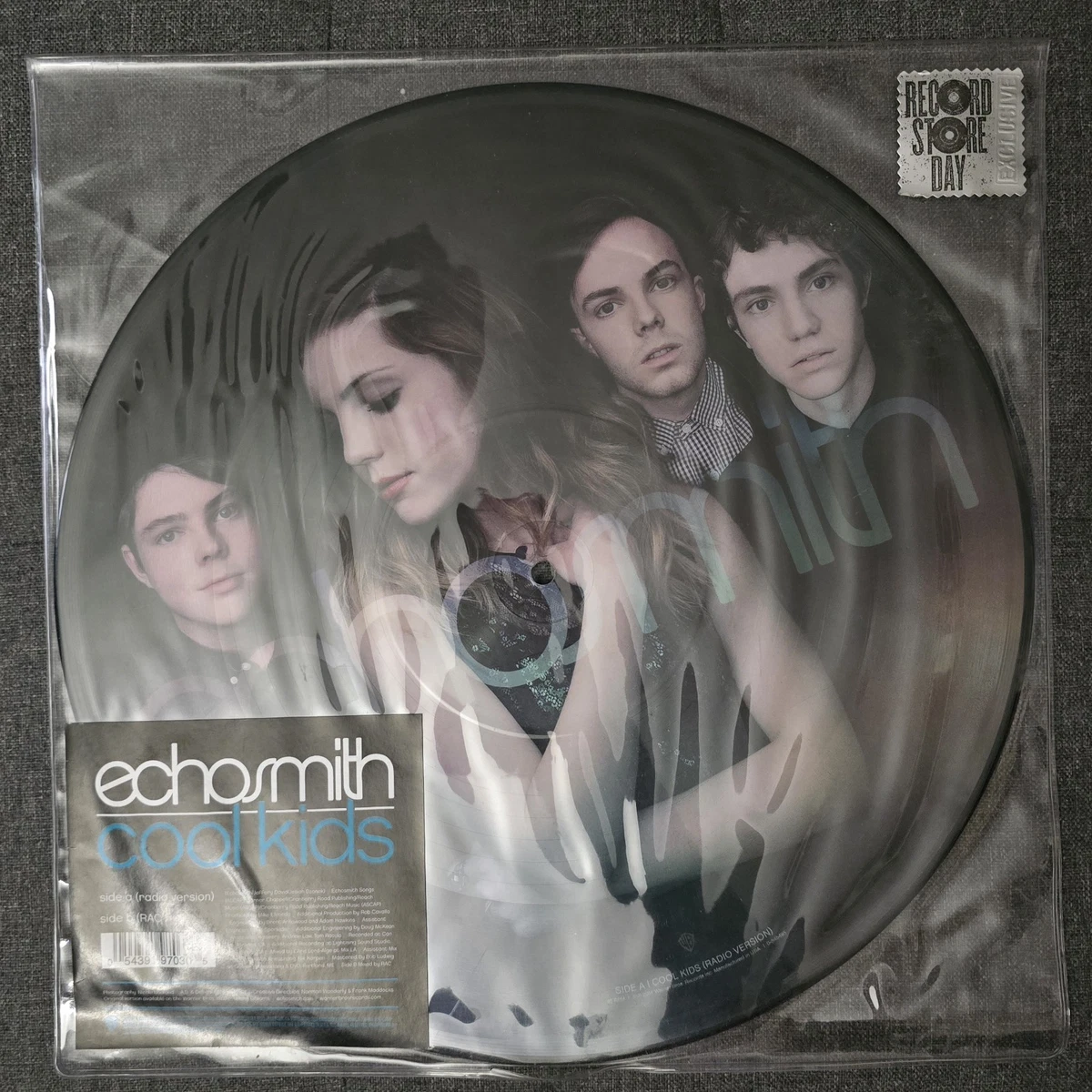 Echosmith LP 乙烯唱片| eBay