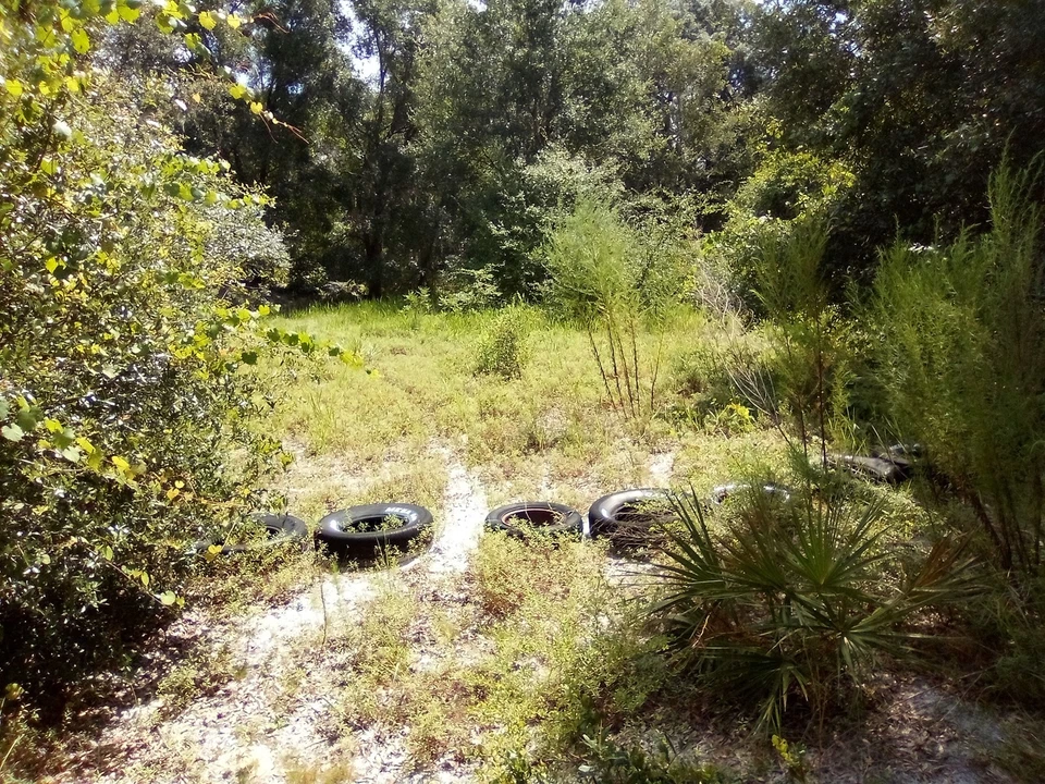 ¡Tierra de Florida rara de escritura! Cave Lake Rd. ¡Se permite acampar DeLeon Springs FL! Foto 4 de 4