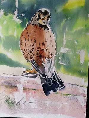 ORIGINAL Gemälde Turmfalke Greifvogel YouTube 15'' x 11'' Marilyn Allis