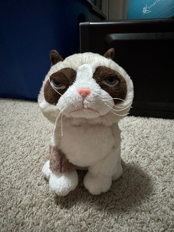 Grumpy Cat Webkinz - Ganz Plush (No Tag Or Code Included)