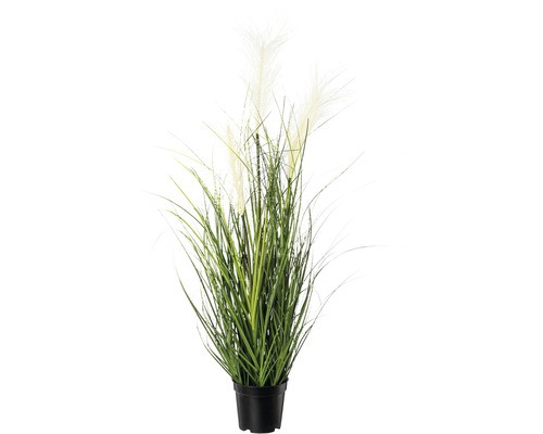 Kunstpflanze Pampasgras HöHe: 76 Cm Creme-image