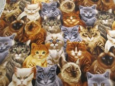 Cat Kitten Feline Cats Allover Cotton Flannel Fabric Timeless Treasures 1yd 8x42