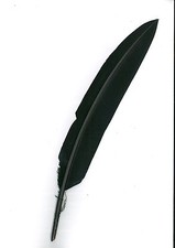 Penna per Cappello Alpino Nera di Tacchino Economica