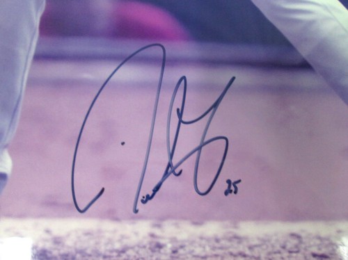 Chicago Cubs Derrek Lee Autograph 27.5 x 22.5 Frame Certificate of Authenticity - Picture 3 of 11