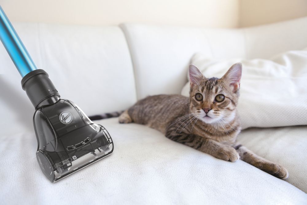 Hoover HU300UPT Bagless Upright Vacuum Cleaner HUpright 300 Pets 800w