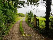 Photo 6x4 Lane at side of Goosehill Wood, Broughton Green Goosehill Green c2020