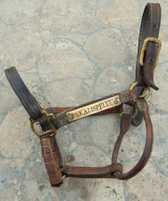 ANTIQUE 1920 "WALSH" LEATHER & BRASS LEATHER HALTER ~ FULL HORSE ~ TRIPLE STITCH