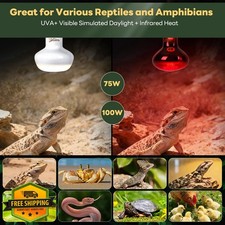 2 Pack 100W Reptile Heat Lamp UVA UVB Basking Spot Red Night