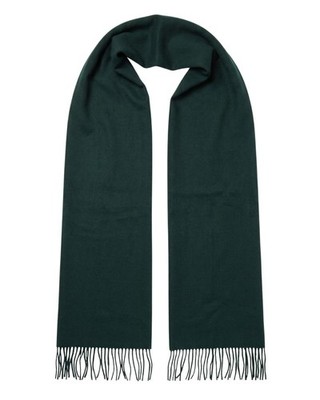 Lanvin Soft Luxurious Cashmere and Wool Green Fringe Scarf