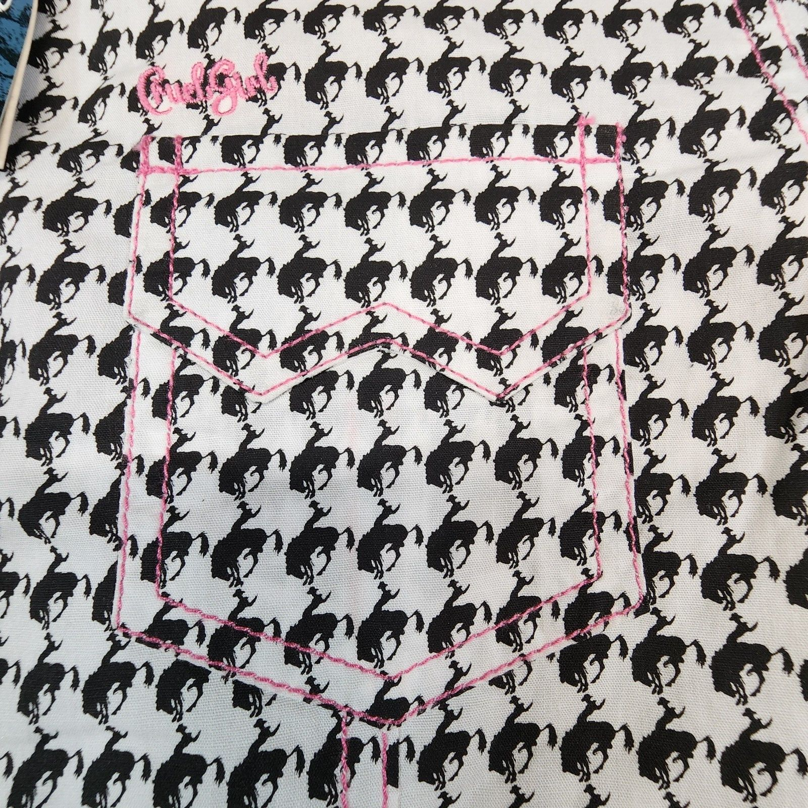 Picture 6 of 15