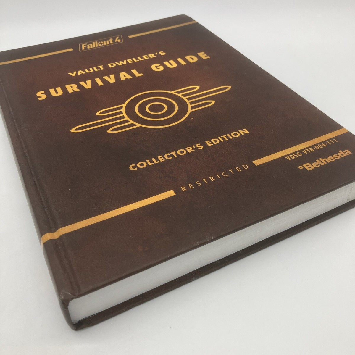 Fallout 4 Vault Dweller