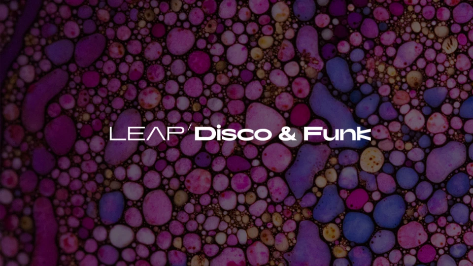 Komplete 15 Select Band | VST AU | Genuine - Image 4 of 4