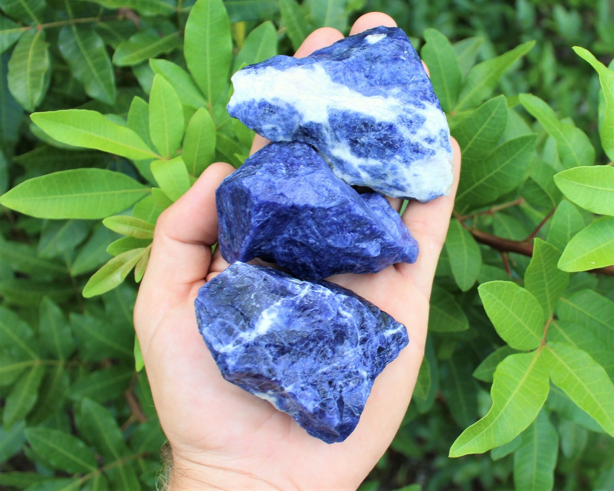 LARGE Sodalite Rough Natural Stones (2-4