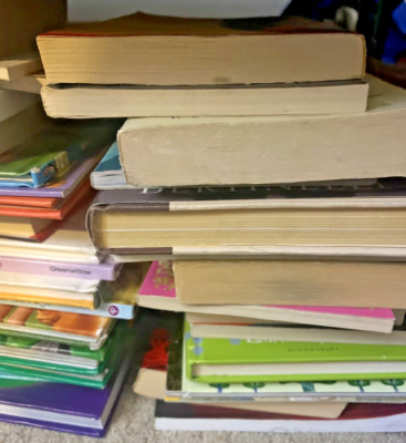 Random Books Box Lot 40 Random Books Bulk/Huge Fiction/Nonfiction UNSORTED Mix Free ...