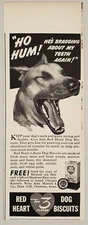 1940 Print Ad Red Heart 3 Flavor Dog Biscuits John Morrell Ottumwa,Iowa
