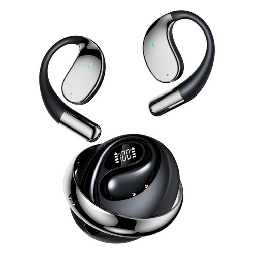 Translator Earbuds 144+ Languages Bluetooth 5.4 Online Instant Voice Translation - 第 16/19 張圖片