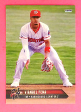 2025 Choice, Harrisburg Senators - VIANDEL PENA - Dominican Republic