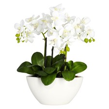 Nearly Natural 16" Phalaenopsis Silk Orchid Arrangement in White Vase