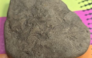 Unearthed Natural Sandstone With Trilobite & Trace Fossils/23 Grams-Round/1.5"