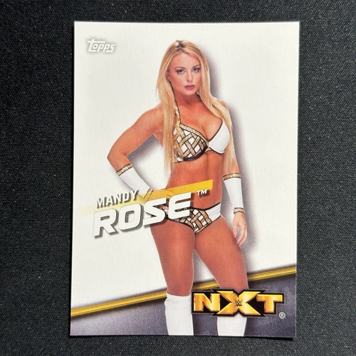 2016 Mandy Rose #43