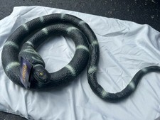 NWT Heavy Duty Foam Blown Realistic Cobra Snake Halloween Prop Oddity Creepy Fun