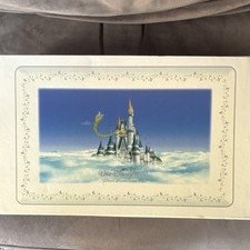 Assiette rectangulaire château Disney Walt Disney World