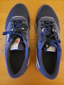 reebok classic mens blue