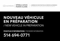 2015 Lexus CT 200h **NAVIGATION PKG**