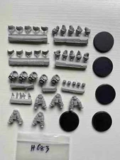 Unpainted SONS OF HORUS JUSTAERIN TERMINATORS(Body Only) HOT