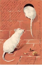 Animals - No. 63696 - Rat - Two mice, one of them going into a hole