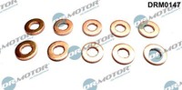 Dr.Motor Automotive Dichtungssatz EinspritzdüSe