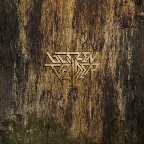 BLITZEN TRAPPER - FURR : DELUXE 2LP (CLEAR & GOLD SWIRL) by BLITZEN TRAPPER