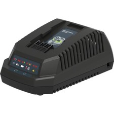 Sabo Standardladegerät 40V SAA11781 Accu Neu!