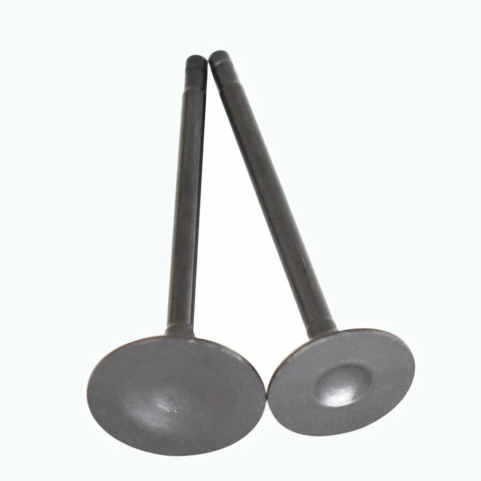 Kit de válvula de escape de admisión para Mazda CX-7 2,3 L DOHC 16v MRZ 2006-2013 Foto 4 de 4