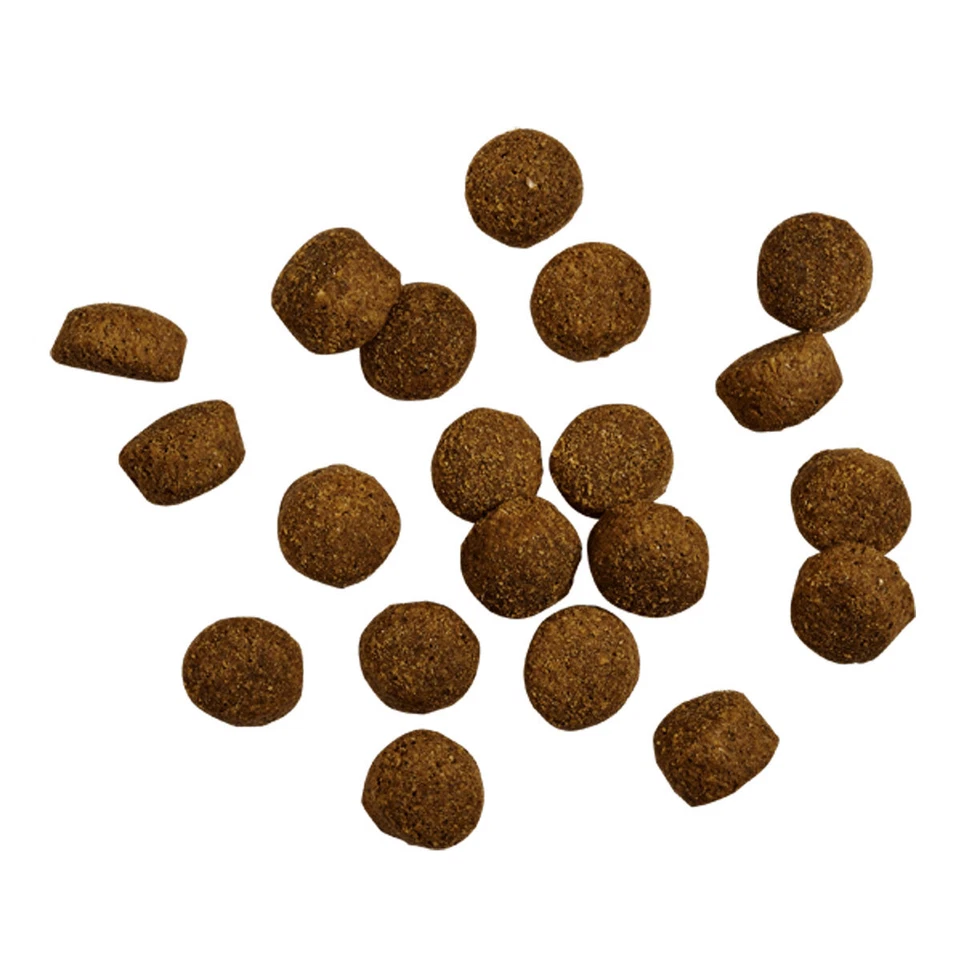 2 x 12,5 kg Belcando Buddy Trockenfutter für ausgewachsene Hunde normale aktiv - Bild 2 von 3