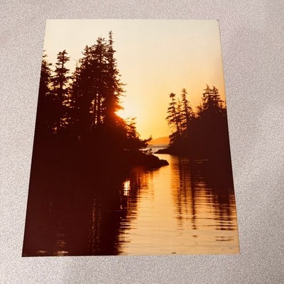 Vintage Sunset Landscape Photo Trees Water Reflection Kodak Paper 11x14