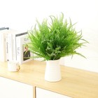 Bild 8 von 8