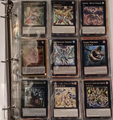 Konami Yu-Gi-Oh! TCG Effect & Xyz Card Binder Lot Ice Princess Zereort Caesar