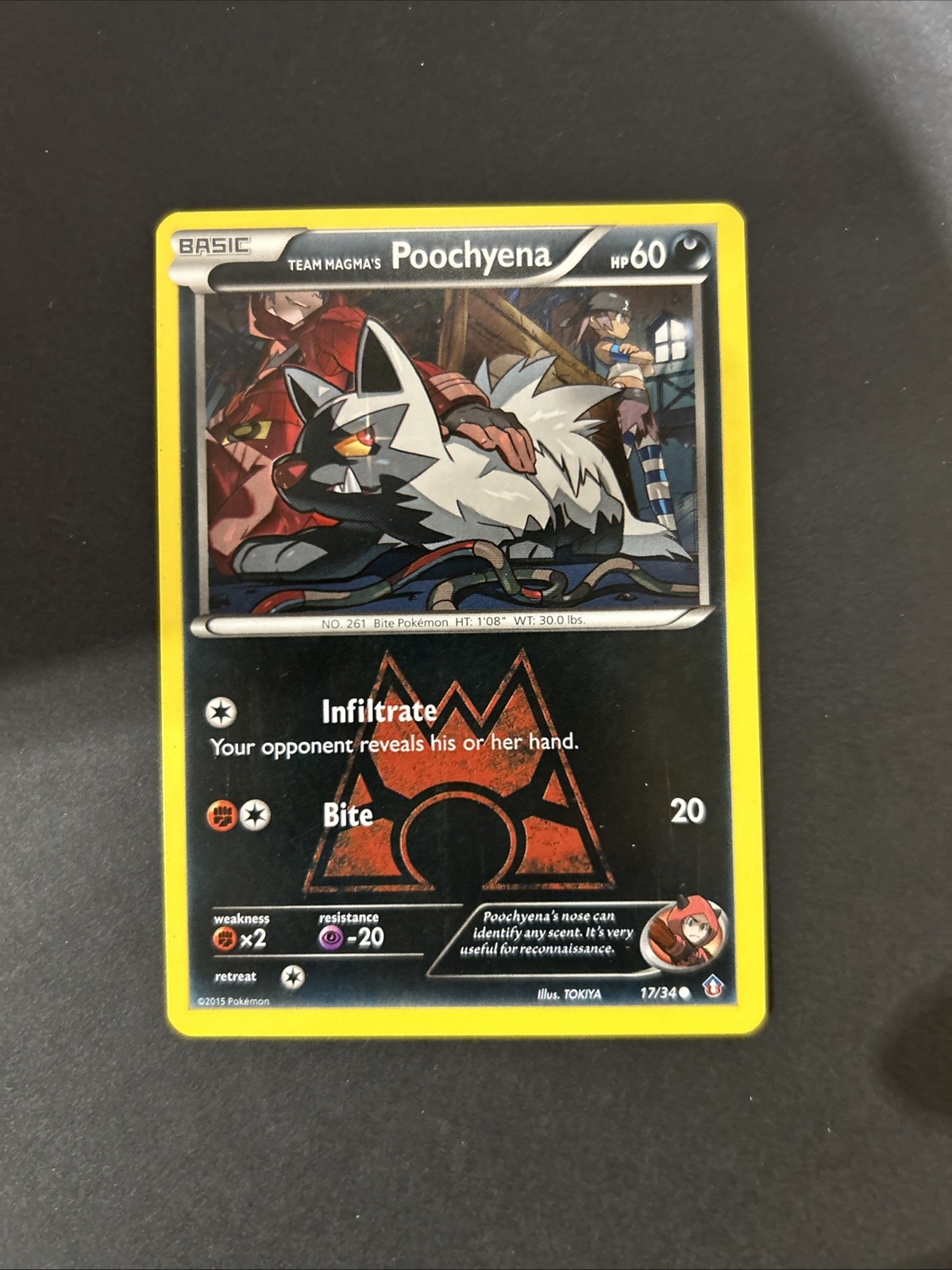 Team Magma's Poochyena - 17/34 - Common LP English Pokemon Double Crisis