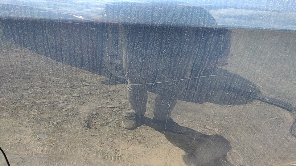 14 SUBARU FORESTER Rear Door Drivers Side (No Shipping) Foto 2 de 3