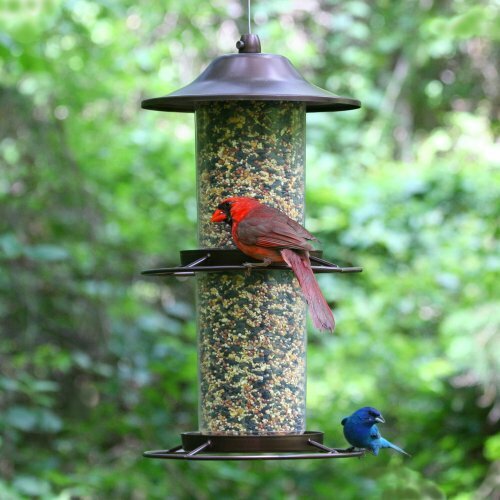Perky Pet 325s Panorama Bird Feeder For Sale Online