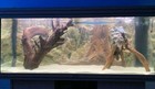 Bild 43 von 65