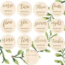 Wooden Baby Monthly Milestones for Newborn Double-sided Plant Milestone