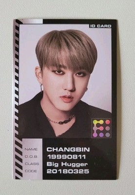 Stray Kids Changbin Oddinary Photocard ID