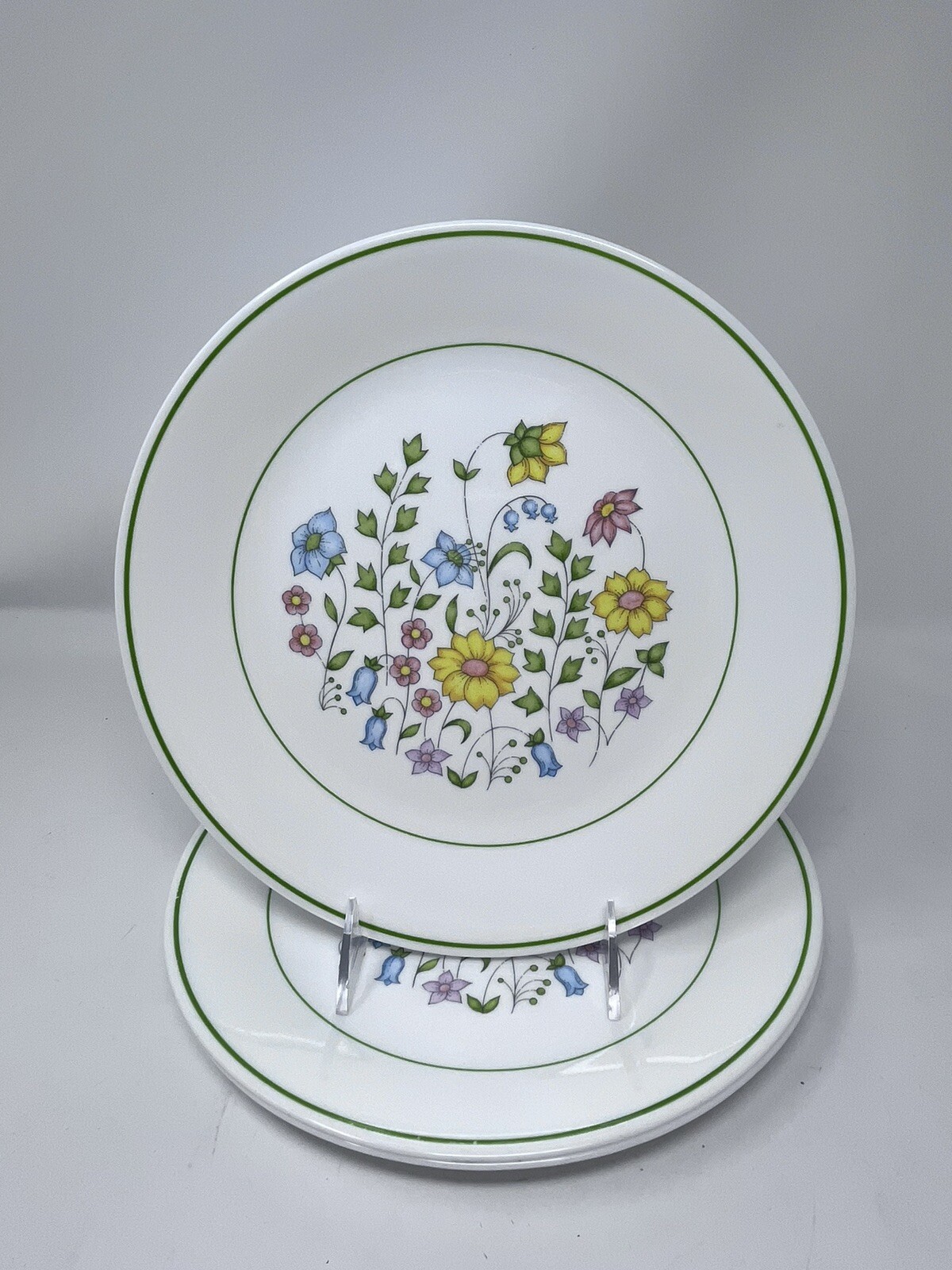 Corelle Meadow Dinner Plate 10-1/4" Green Trim Vitrelle