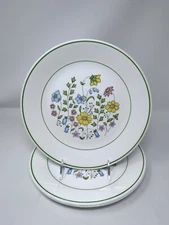 Corelle Meadow Dinner Plate 10-1/4" Green Trim Vitrelle