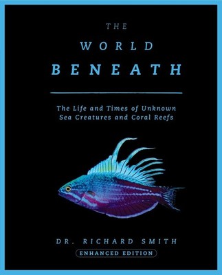 The World Beneath: The Life and Times of Unknown Sea Creatures and Coral Reefs b