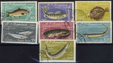 Romania  1960  Fish, Marine, Nature, Wildlife, Beluga, Carp USED @  v