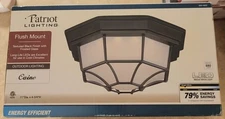 NEW Patriot Lighting Caine 11" Outdoor Flush Mount